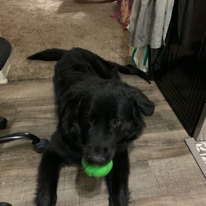 Meet your Posher, Kassey